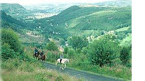 http://www.wales-tourist-information.co.uk/image/upload/BYC5/horses_in_thehills.jpg